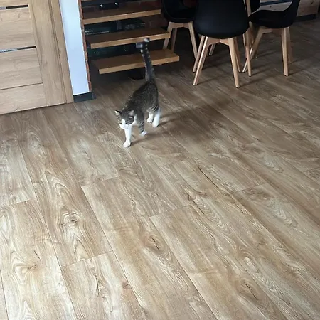 Domek alpejski Nest Haus